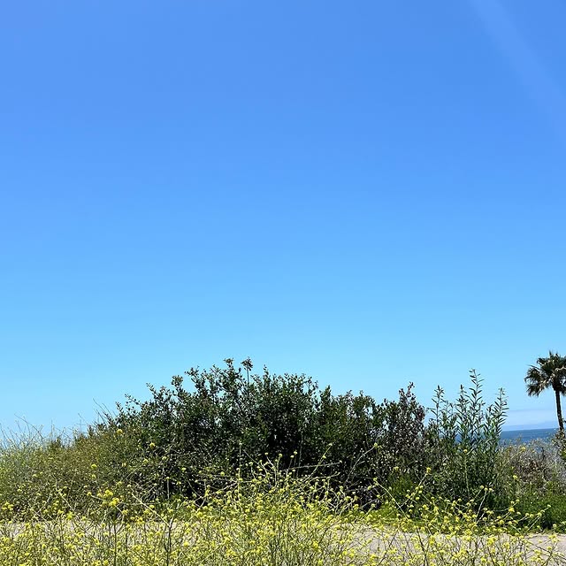 457263498_532556942630811_22994323013682264_n